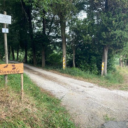 Le Giuncaie - Vigna Con Alloggio Montescudaio Buitenkant foto