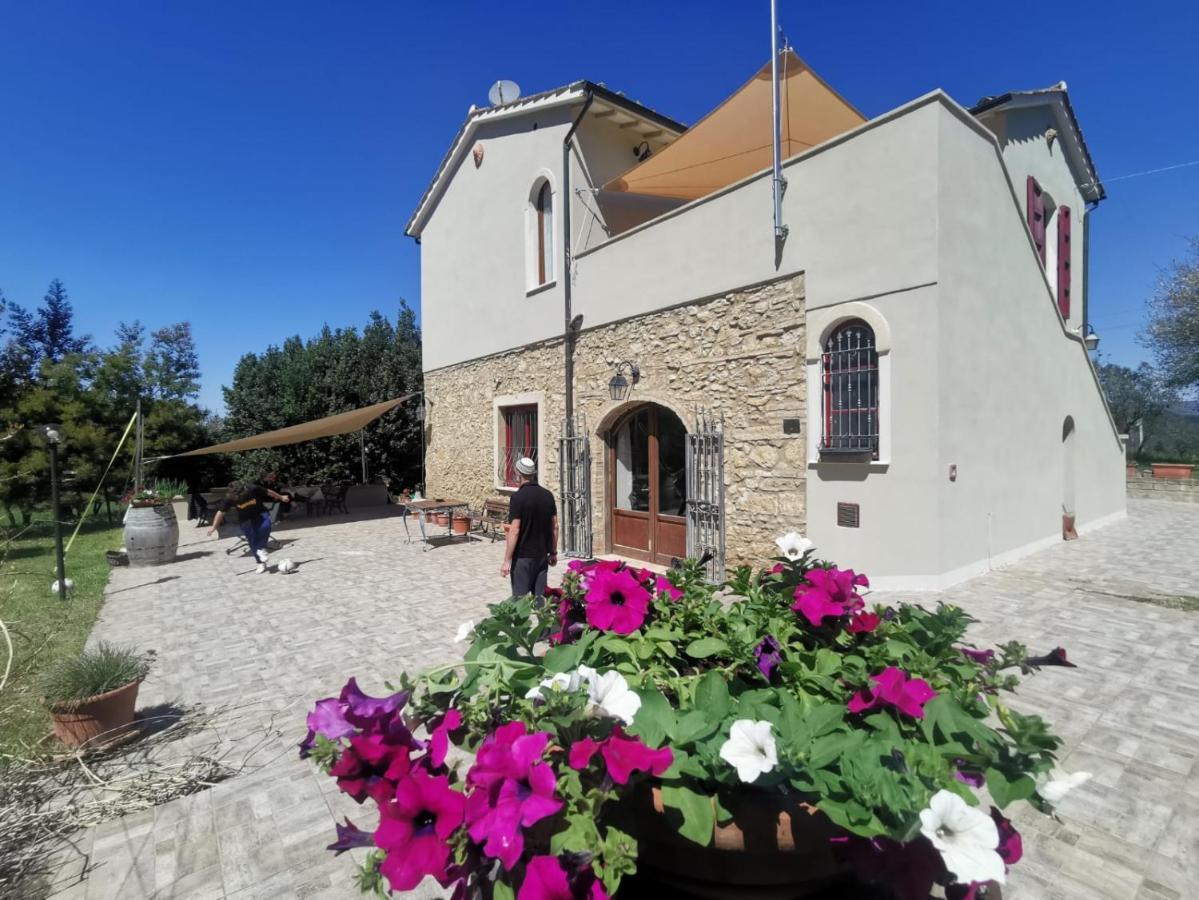Le Giuncaie - Vigna Con Alloggio Montescudaio Buitenkant foto