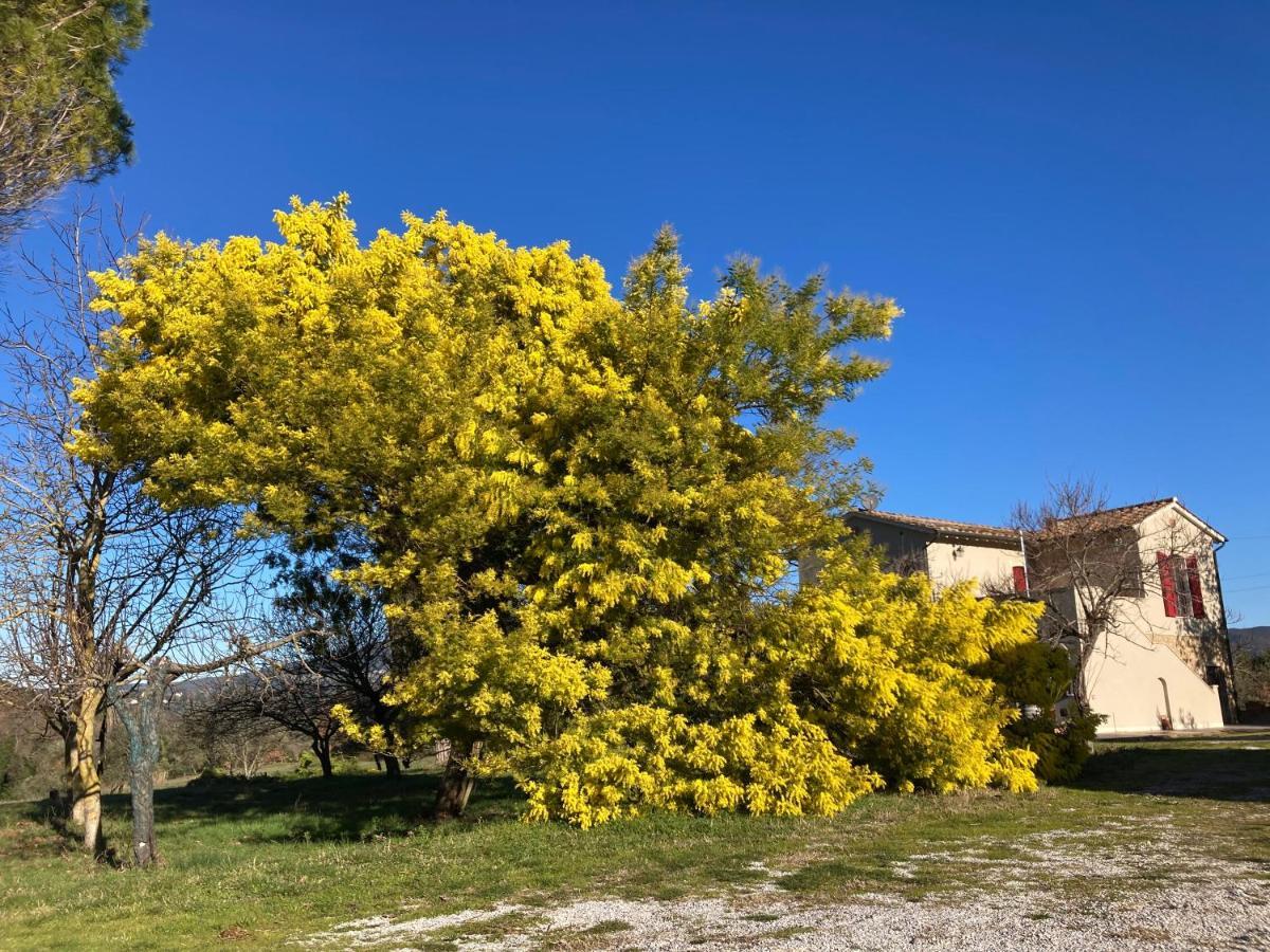 Le Giuncaie - Vigna Con Alloggio Montescudaio Buitenkant foto