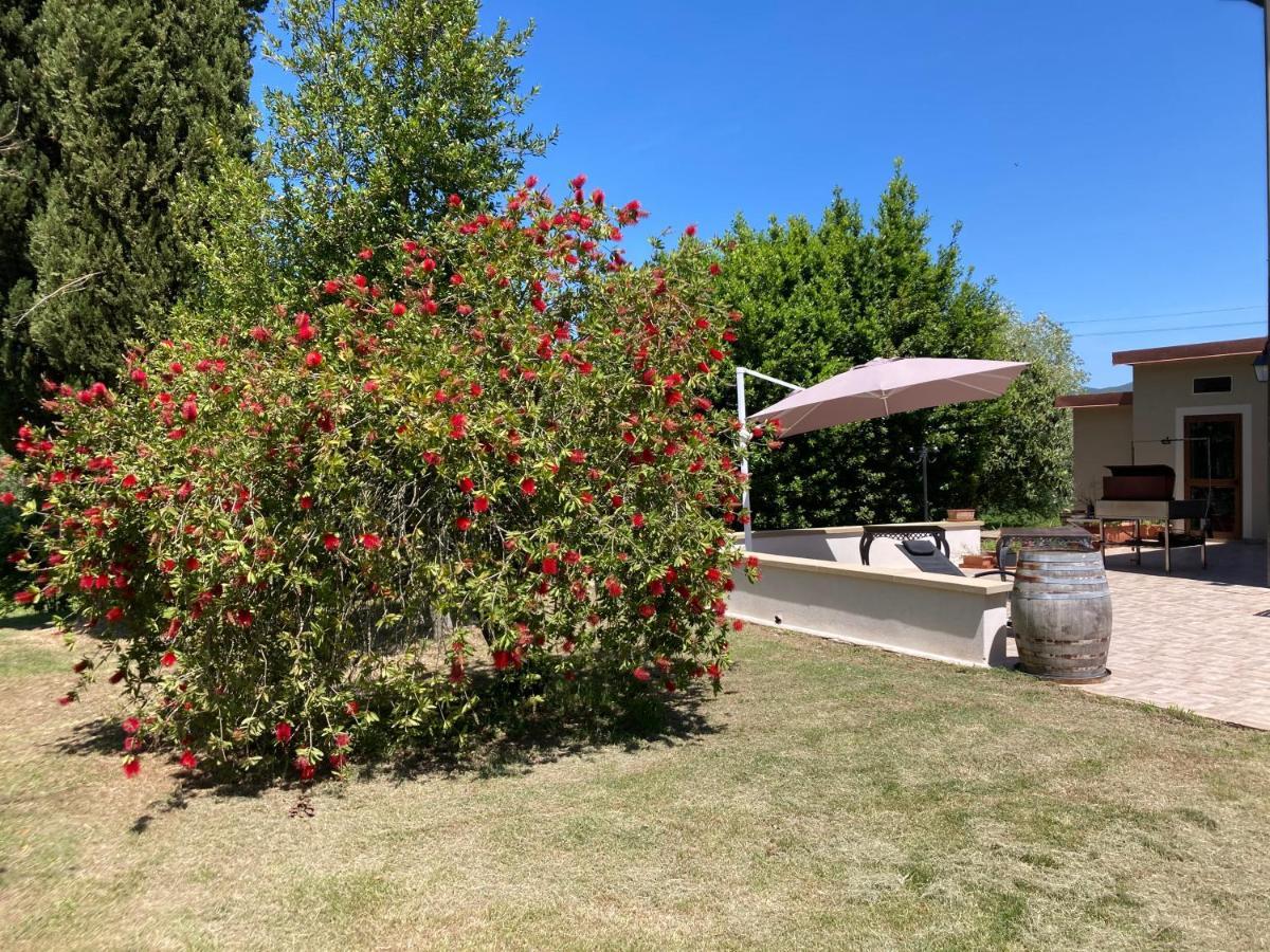Le Giuncaie - Vigna Con Alloggio Montescudaio Buitenkant foto