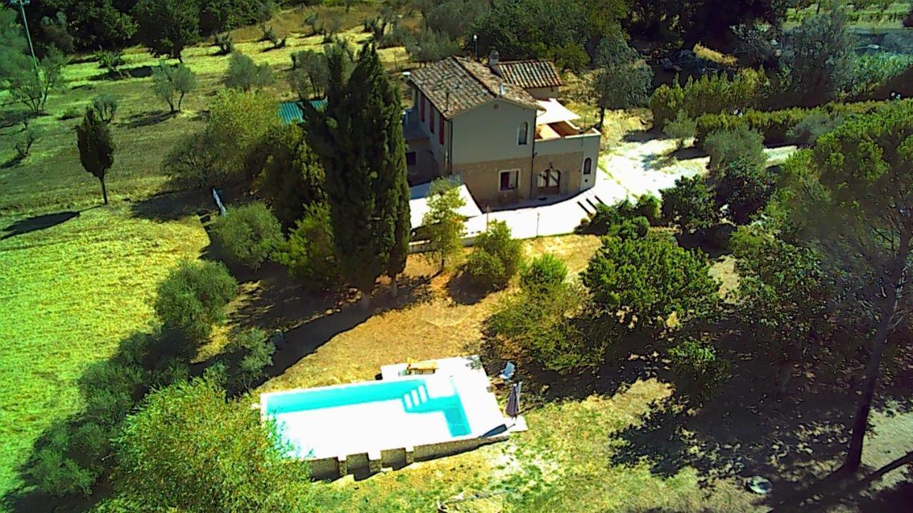 Le Giuncaie - Vigna Con Alloggio Montescudaio Buitenkant foto
