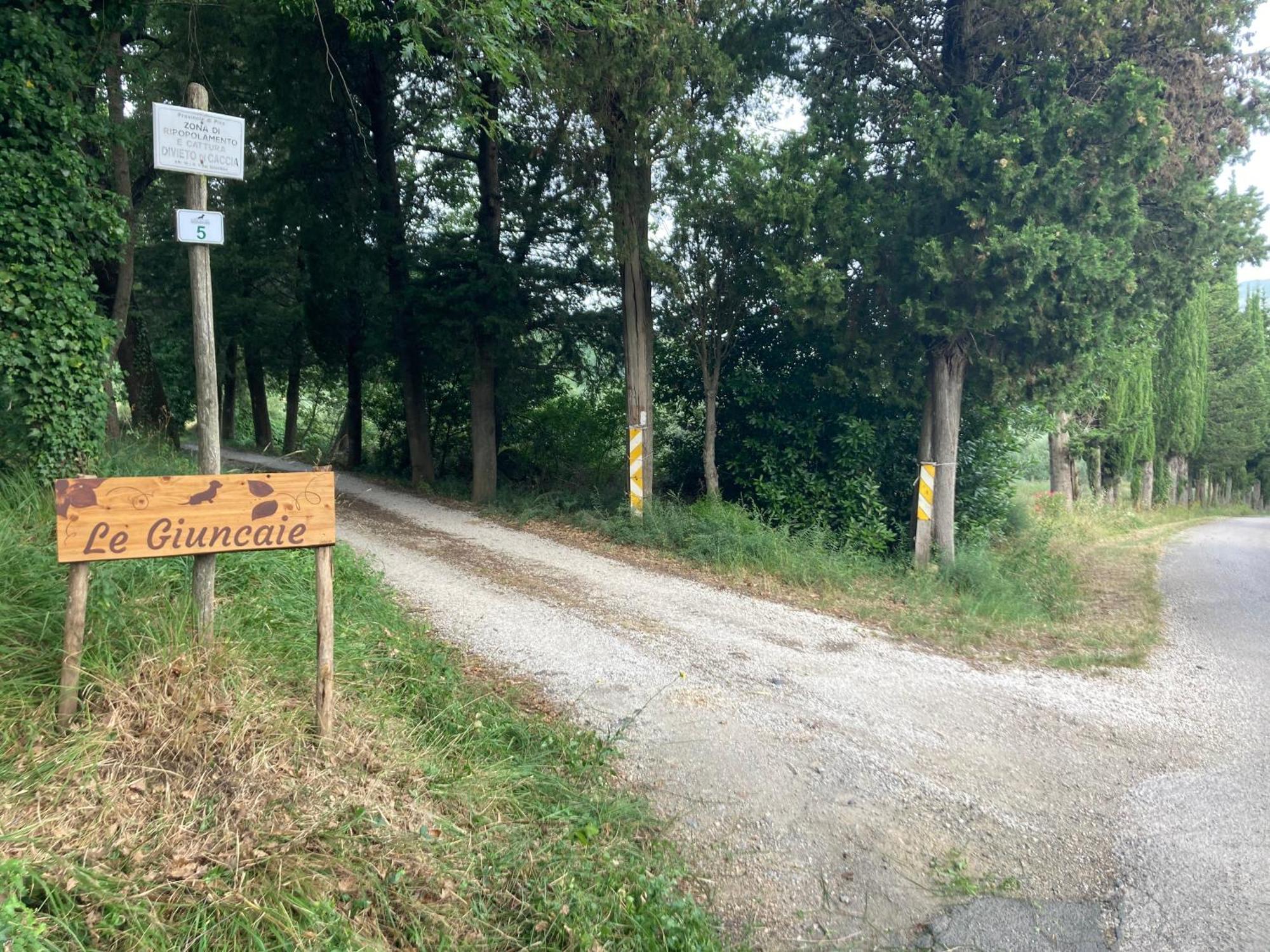 Le Giuncaie - Vigna Con Alloggio Montescudaio Buitenkant foto